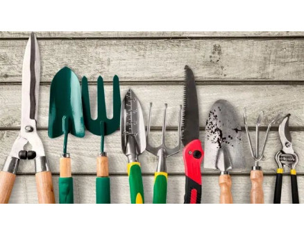 Місячний календар садівника та городника на листопад 2023 року