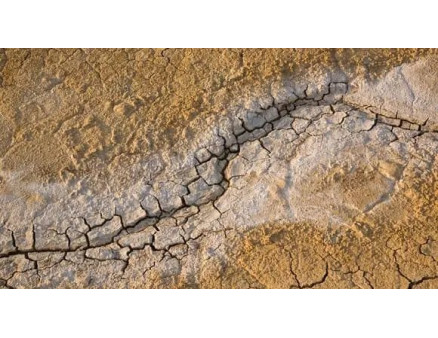 Засоленість грунту. Чим це небезпечно?