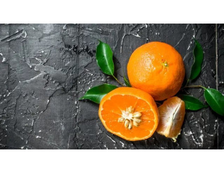 Вирощування мандаринового дерева в домашніх умовах