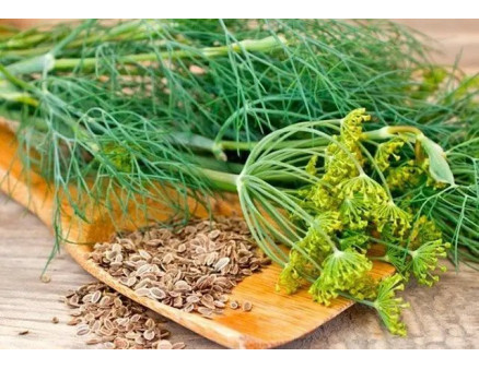 Місячний календар садівника та городника на лютий 2024 року