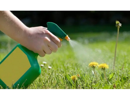 Доходные гербициды: что это такое и как их использовать? Доходные гербициды: что это такое и как их использовать?