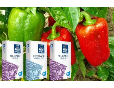 Програма живлення перцю Yara. Внесення добрива для перцю