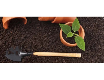 Як перевірити якість субстрату перед посівом на розсаду?