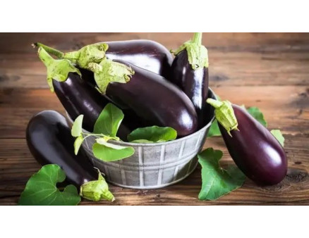 Вирощування баклажанів у відрах: особливості методу