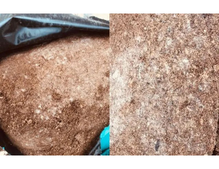 Що робити, якщо на торфʼяному субстраті з'явилася цвіль?