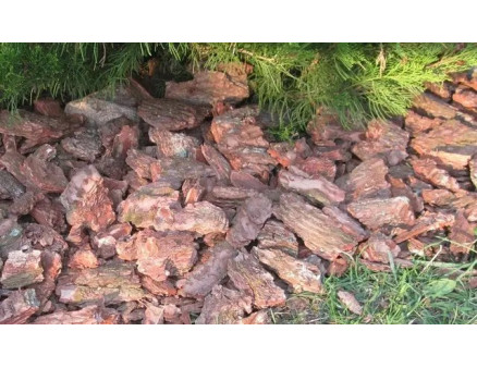 Як соснову кору використовують у ландшафтному дизайні?