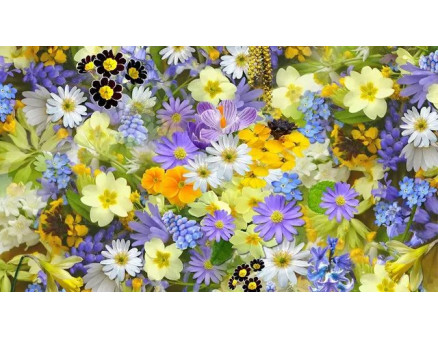 Квіти-багаторічники, які рекомендують посадити восени