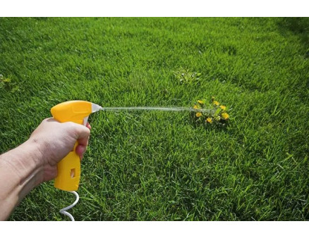 Гербициды - надежные спасители урожая от сорняков Гербициды - надежные спасители урожая от сорняков