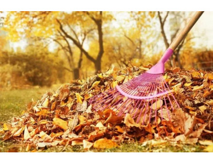 Як підготувати сад до холодів?