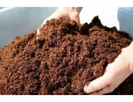 Найкращий грунт для лохини, який він має бути? ТОП готових продуктів