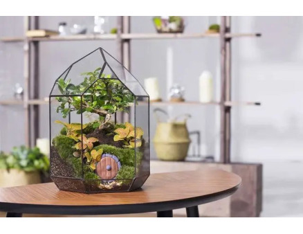 Як зробити флораріум своїми руками?