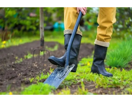 Перекопування городу: правила та рекомендації