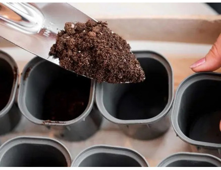 Готуємо грунт для посадки квітів у горщиках