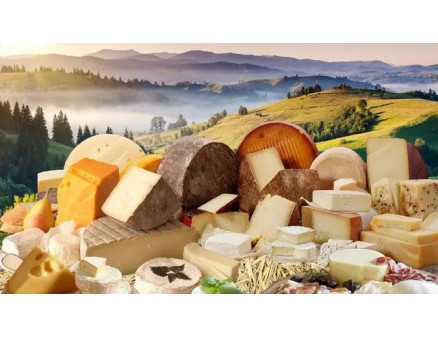 Топ-5 ідей для бізнесу в селі