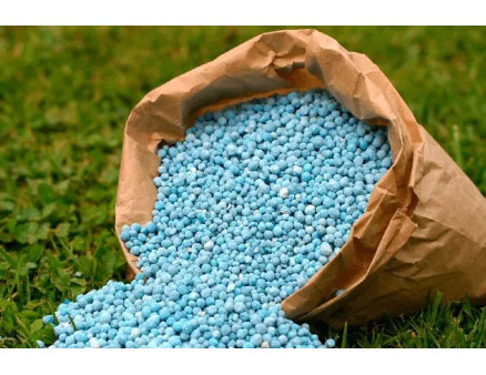 Все, що потрібно знати про пестициди та їх використання в сільському господарстві