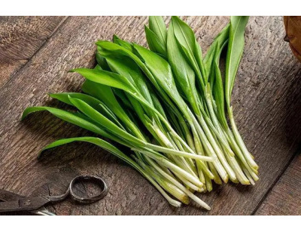 Топ-5 зелених весняних суперфудів