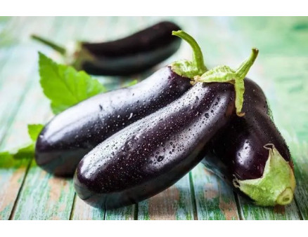 Особливості вирощування баклажанів у теплиці