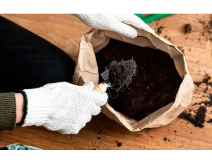 Грунт для кімнатних та балконних квітів: як обрати, щоб квіти цвіли довго?