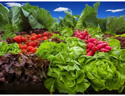 Що посадити у липні, щоб до осені отримати гарний врожай?