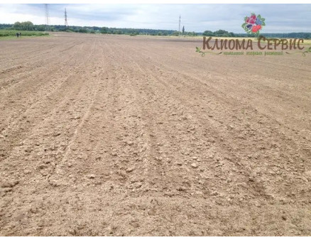 Посадка плантації касетної малини на плівці мульчирующей