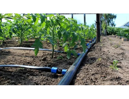 Фільтрація води для крапельного поливу: чому це критично важливо