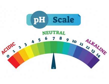 Що таке pH і чому це важливо