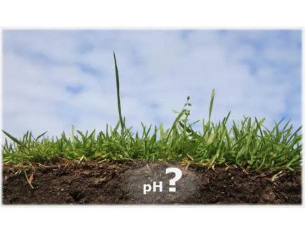 Кислотність грунту: як з цим боротися?
