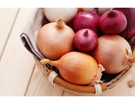 Что делать, чтобы лук не гнил?