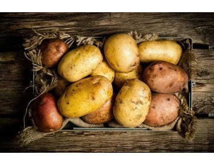 Болезни картофеля во время хранения