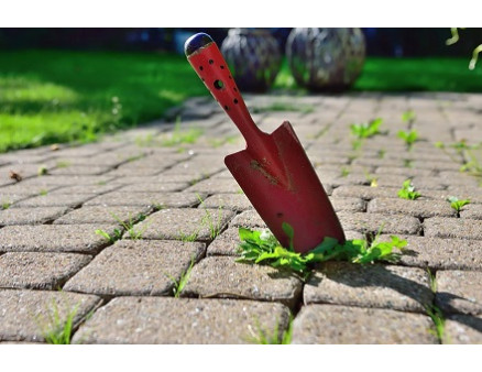 Трава между брусчаткой. Как избавиться от нее навсегда?