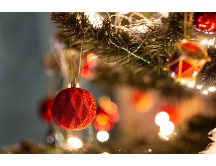 Как выбрать Елку к празднику? Обзор популярных вариантов от Клиома-Сервис