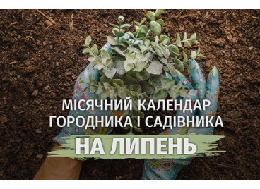 Лунный календарь садовода и огородника на июль 2026 года