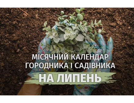 Лунный календарь садовода и огородника на июль 2026 года