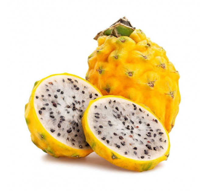 Саженцы питахайи желтой l 5-15 см P8