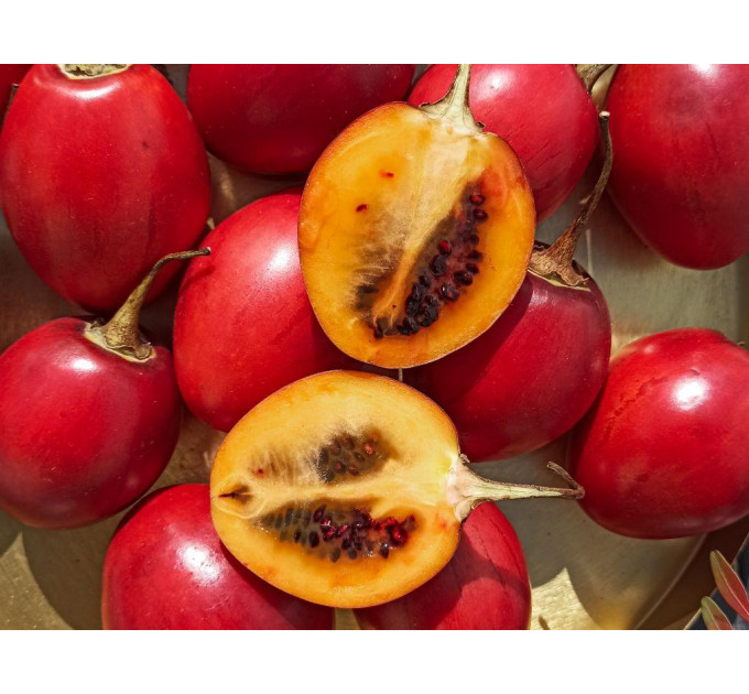 Саженцы тамарилло h 10-50 см P8