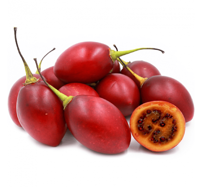 Саженцы тамарилло h 10-50 см P8