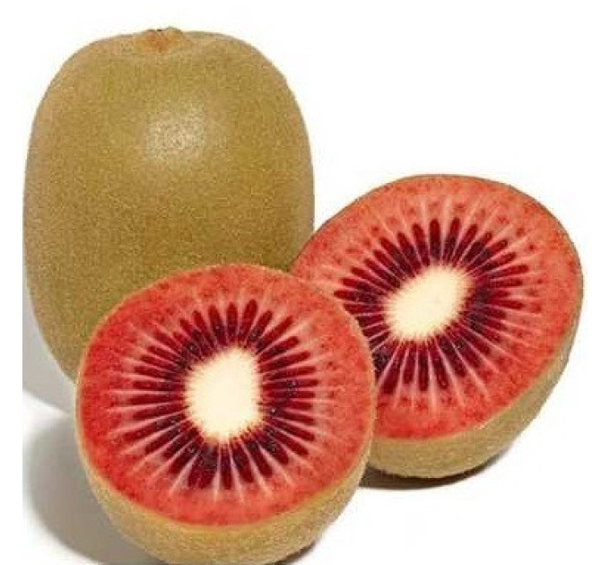 Саженцы киви сорт Zespri Red 1 летние, конт. 1 л