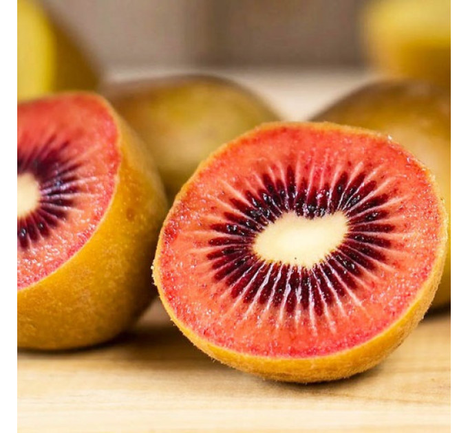 Саженцы киви сорт Zespri Red 1 летние, конт. 1 л