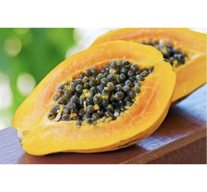 Саженцы папайи сорт Ред Леди h 10-50 см P8