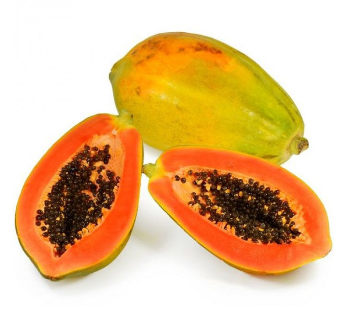 Саженцы папайи сорт Ред Леди h 10-50 см P8