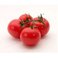 Семена томатов