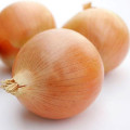 Семена лука