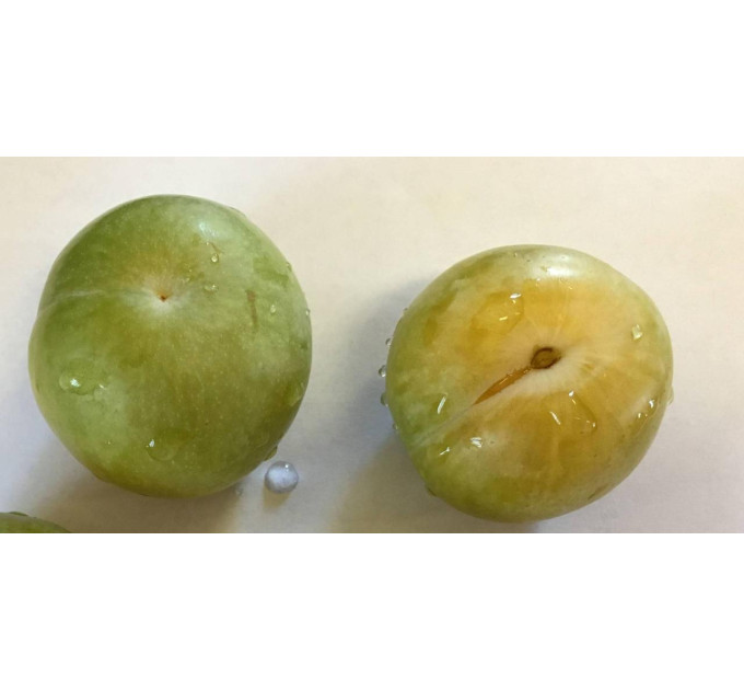 Плуот Флавор Квин