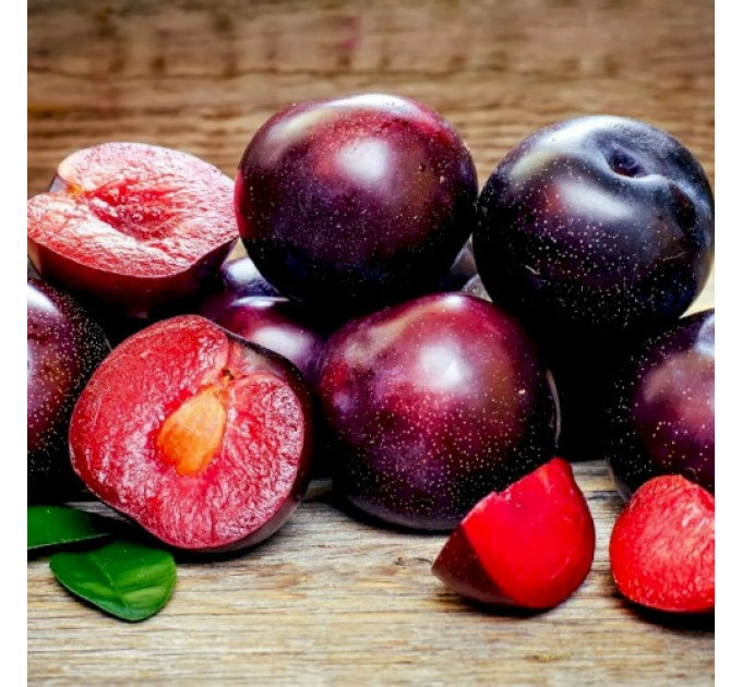 Гибрид сорт Шарафуга (Нектакотум), подвой алыча