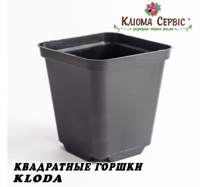 Горшок Kloda квадр. 0,3л (8*8*8)