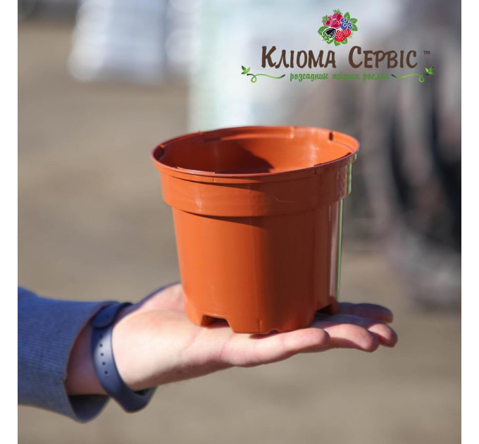 Горшок круглый 1 л 13*10.5, Donkwiat