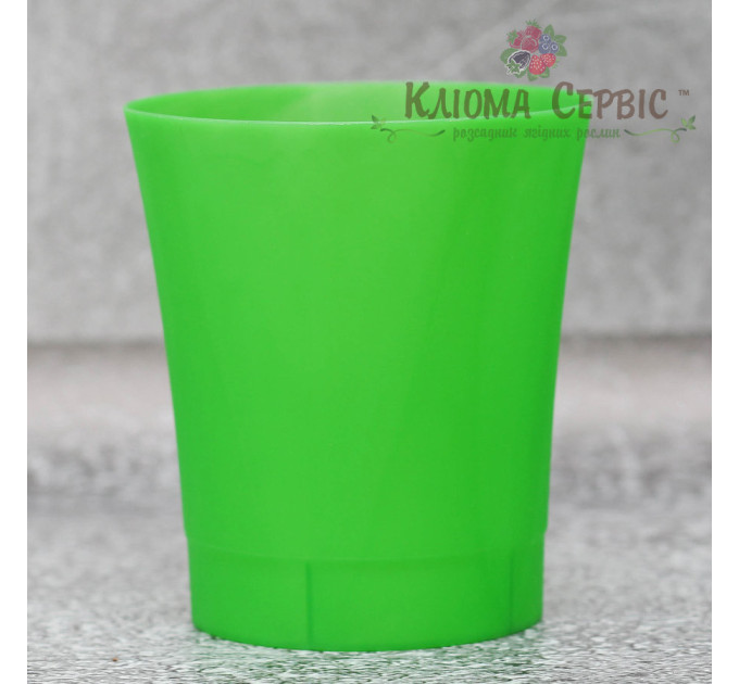 Горщик Lamela Орхідея 125 зелений прозорий