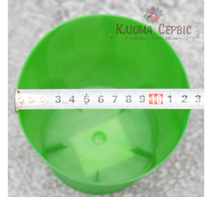 Горщик Lamela Орхідея 125 зелений прозорий