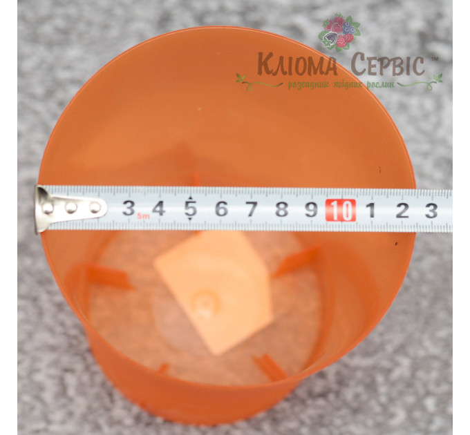 Горшок для цветов Орхидея,прозоро-оранжевый