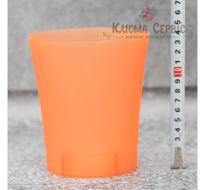 Горшок для цветов Орхидея,прозоро-оранжевый